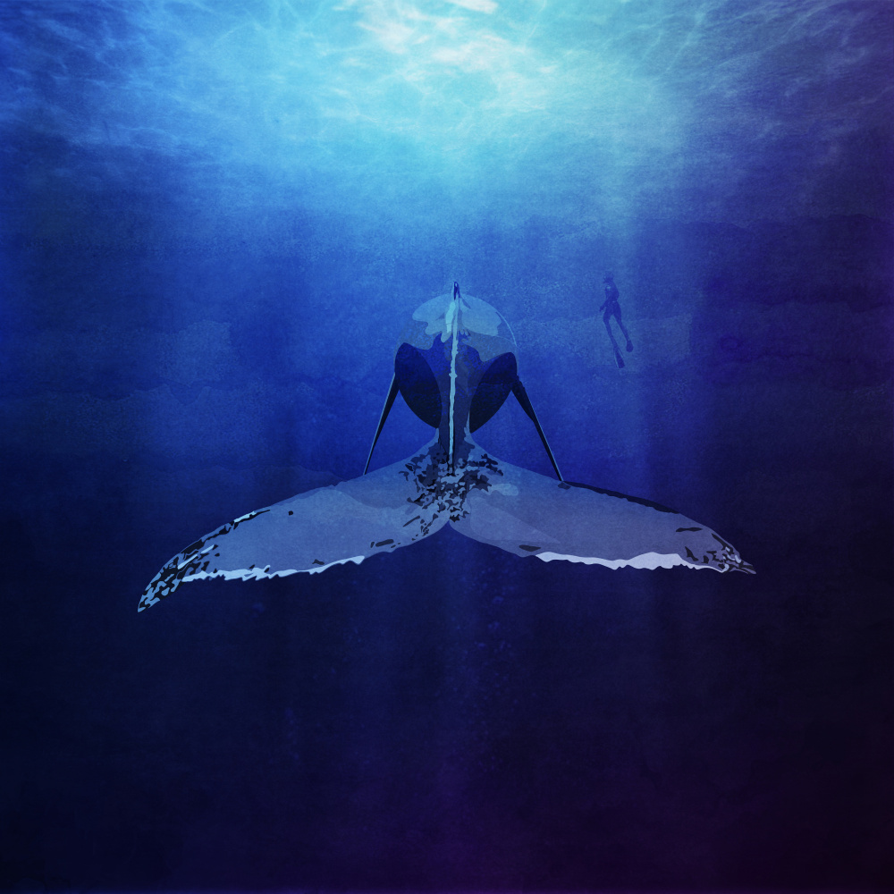 Whale von Emel Tunaboylu