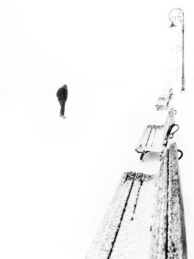 Lost in white von Emilian Avramescu