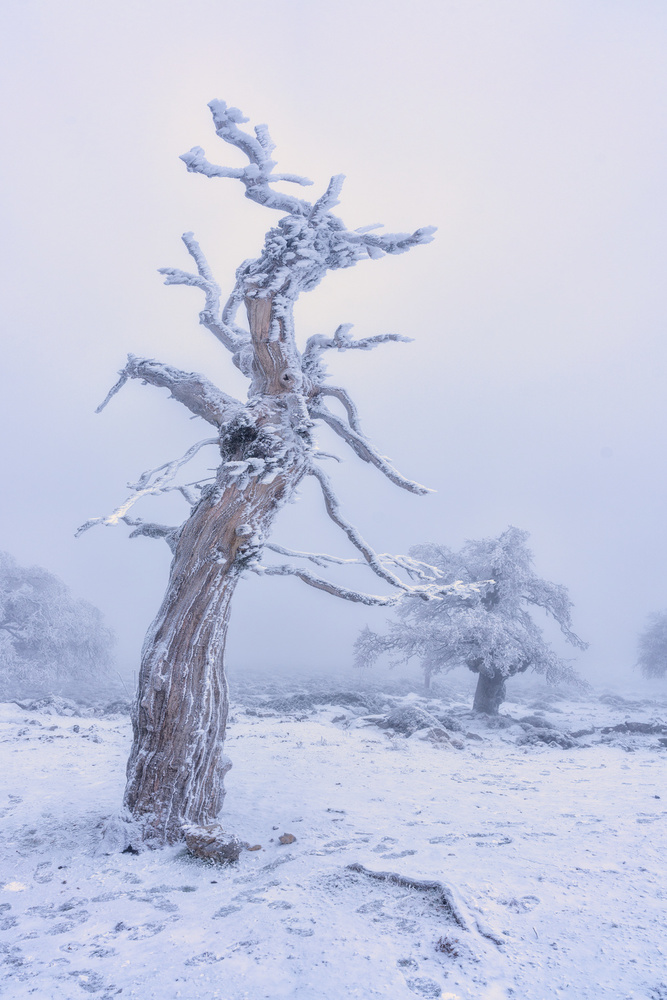 Nieve en el sur de España von Emilio Pino