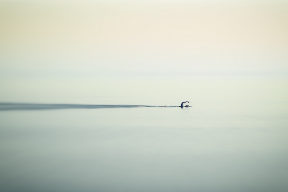 calm sea von Emilio Pino