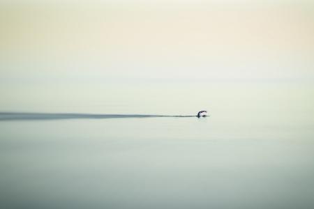 calm sea