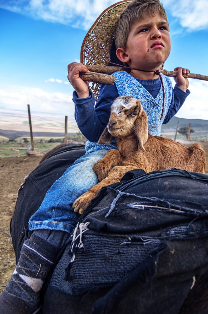 Little shepherd von Emir Bagci