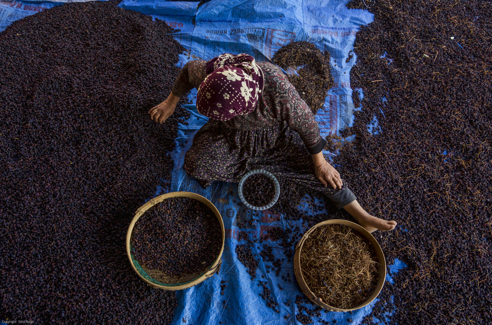 Grape Drying von Emir Bagci