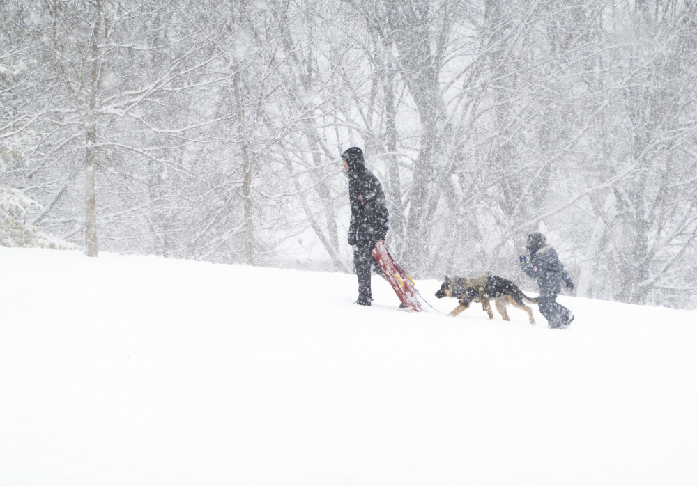 Going to Tobogganing von Emma Zhao