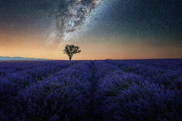 Night In Provence von Emmanuel Charlat