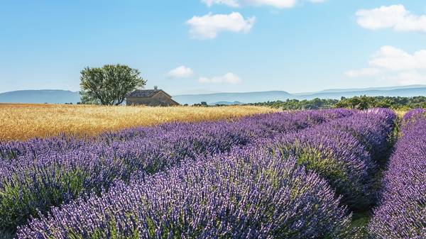 South Of France von Emmanuel Charlat