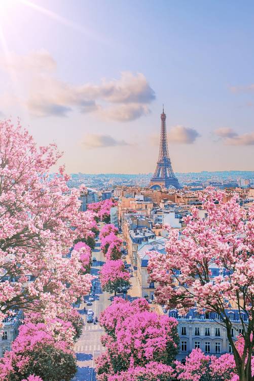 Spring in Paris von Emmanuel Charlat