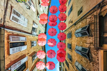 Decorated Street