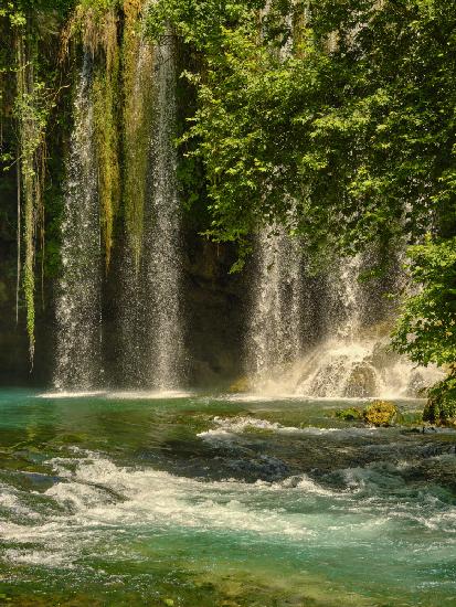 beautiful waterfall in the forest