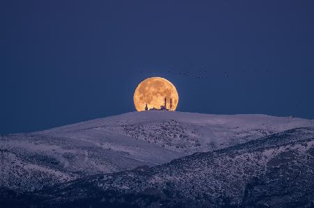 SNoW &amp; MooN