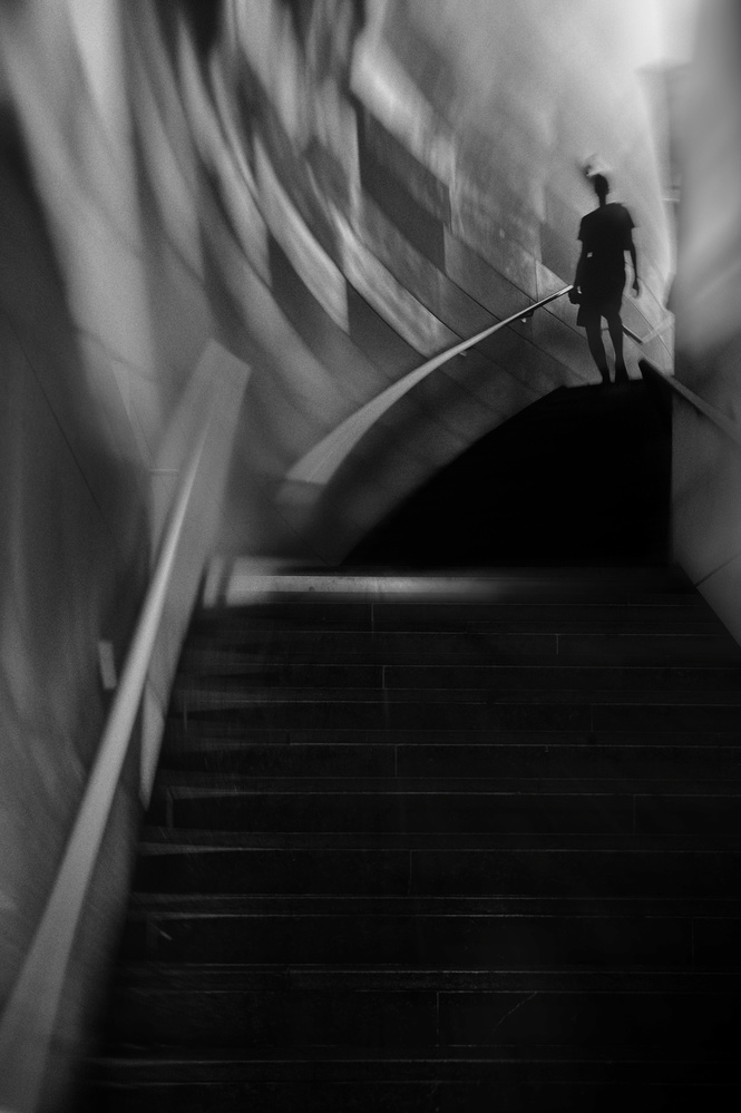 Dans les abîmes von Eric Drigny