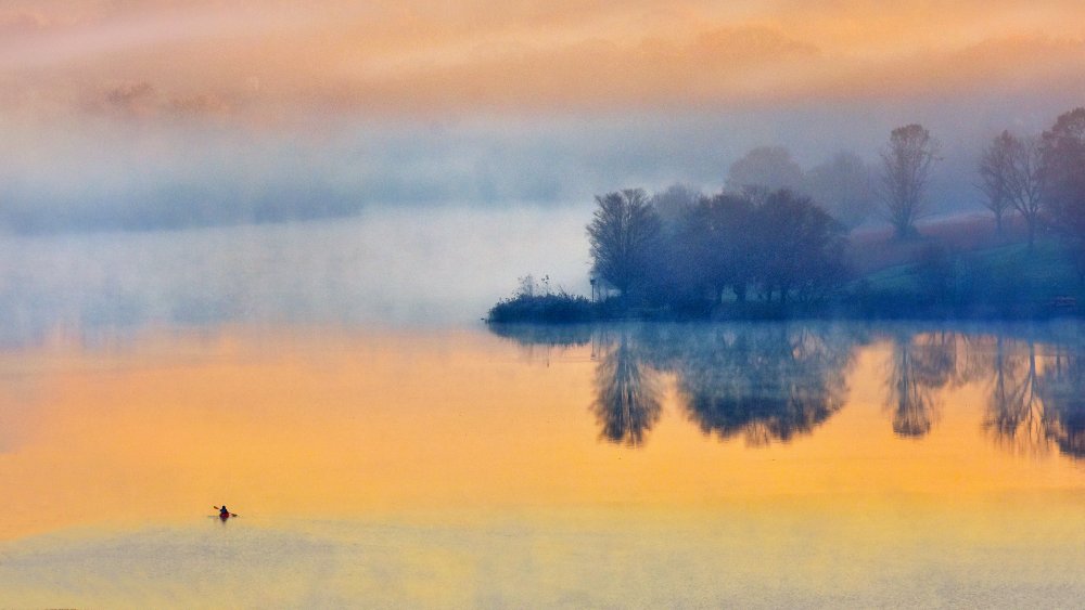 Into the autumn morning von Eric Zhang