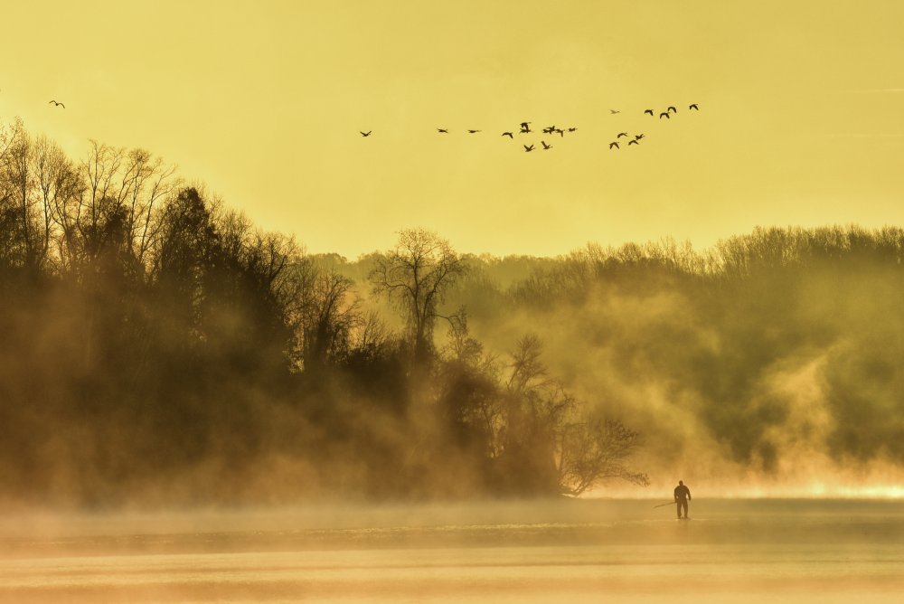 Paddling into fall von Eric Zhang