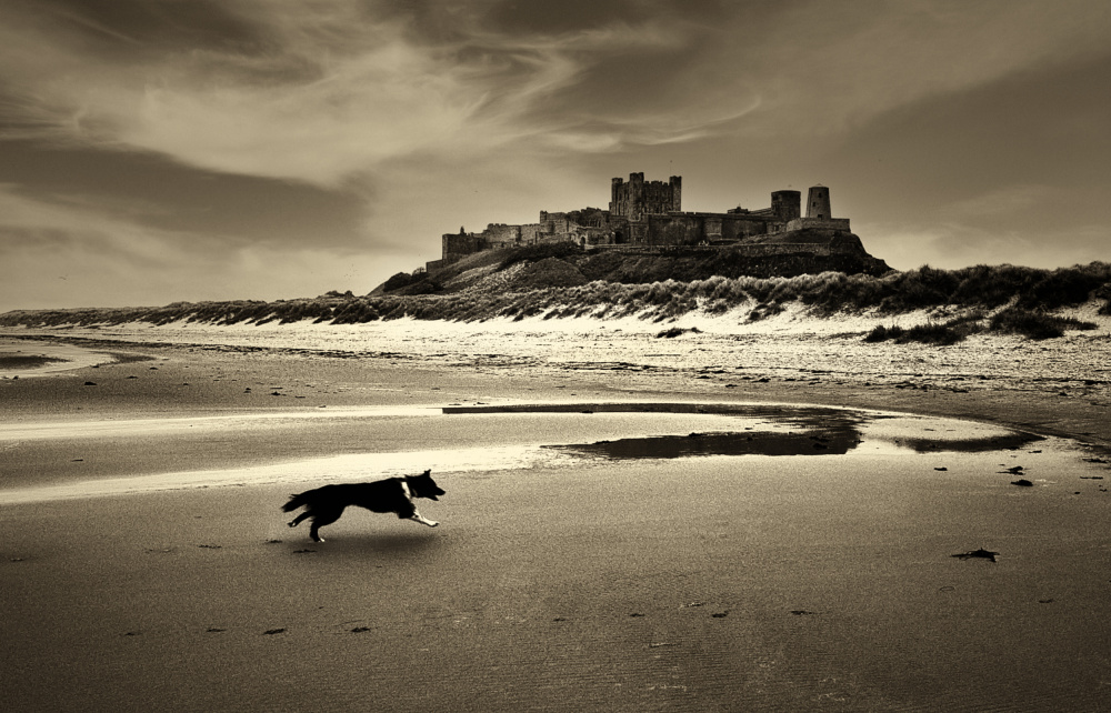 Bamburgh castle von Erik Engström