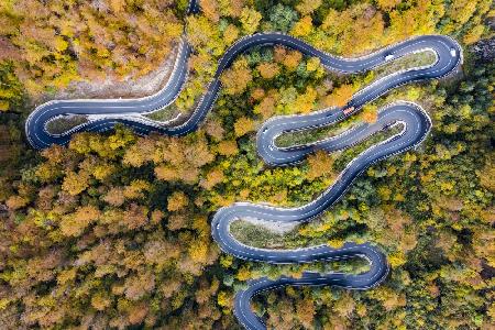 Autumn road