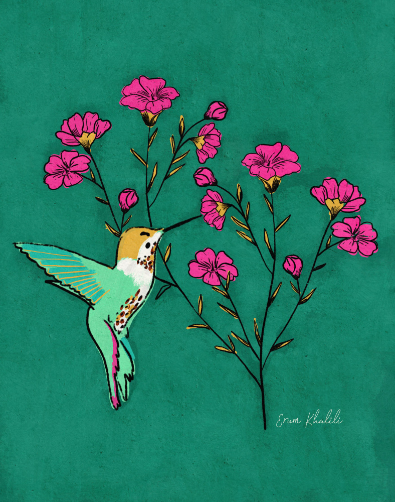 Hummingbird   Erum Khalili.png von Erum Khalili