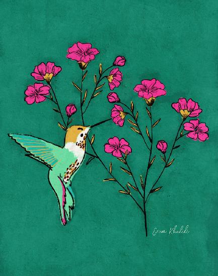 Hummingbird   Erum Khalili.png