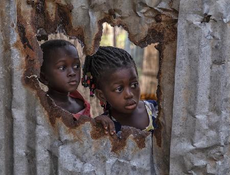 Through the broken fence