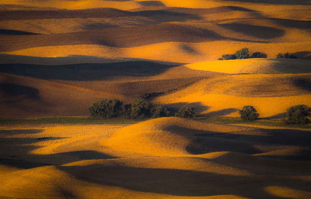 Herbst der sanften Hügel von Eunice Kim