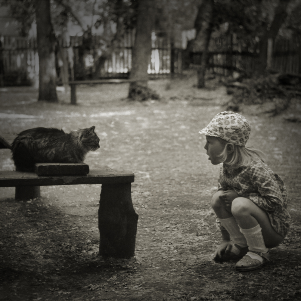 Conversation von Evgenii Novichikhin