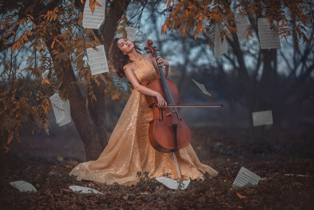 Autumn sonata von Evgeny Loza