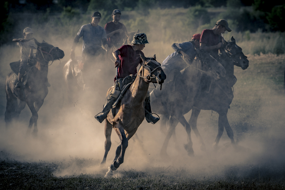 Horses von Eyal Alcalay