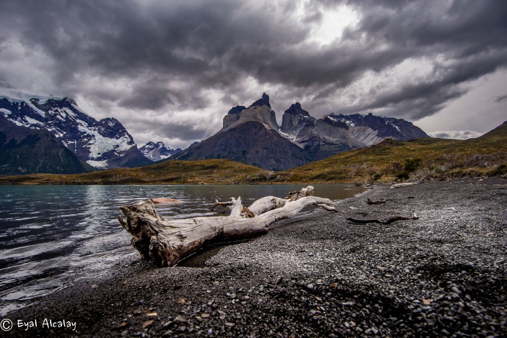 torres del pine von Eyal Alcalay