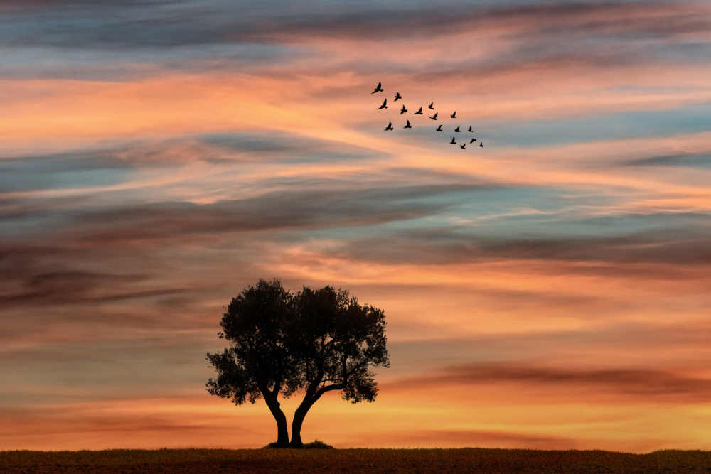 Silence autumn von Eyal Bar Or