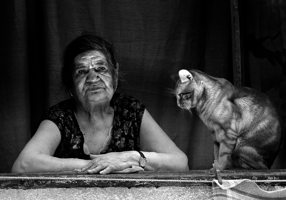 Lady at the window with her cat von Ezequiel59