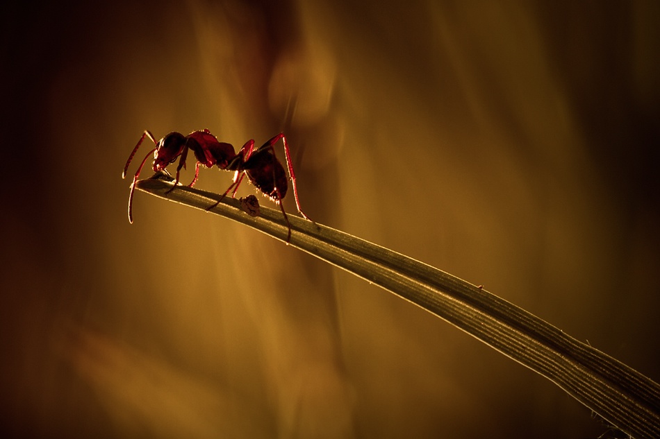 Sweetest thing von Fabien Bravin