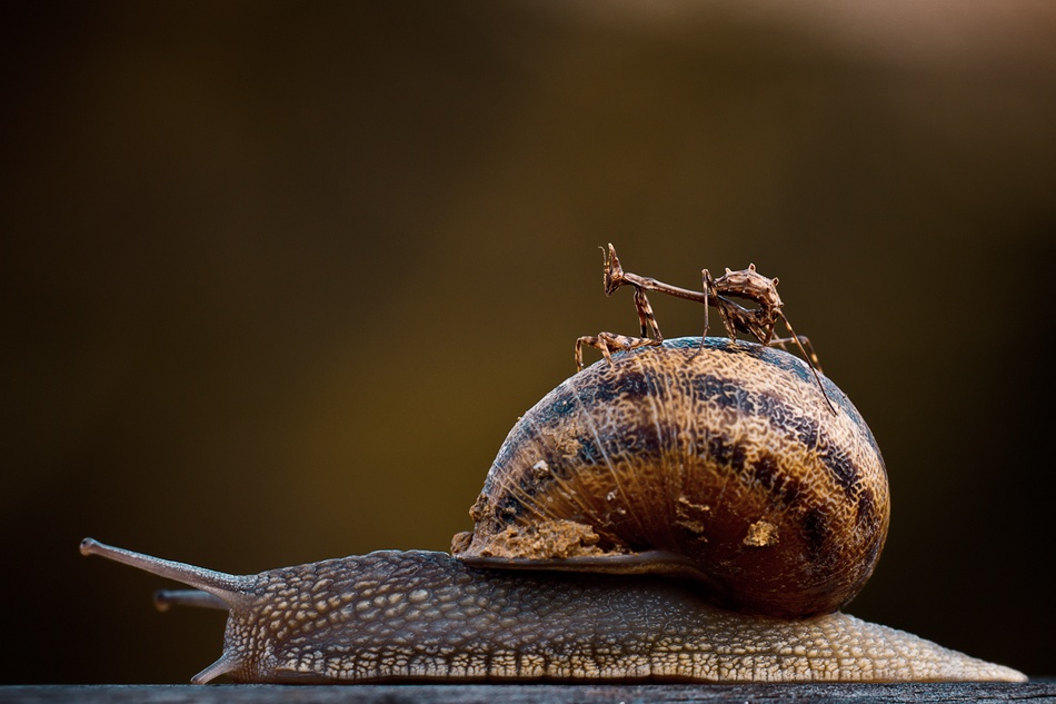 Free ride von Fabien Bravin