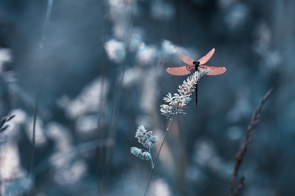 Feeling the energy flowing von Fabien Bravin