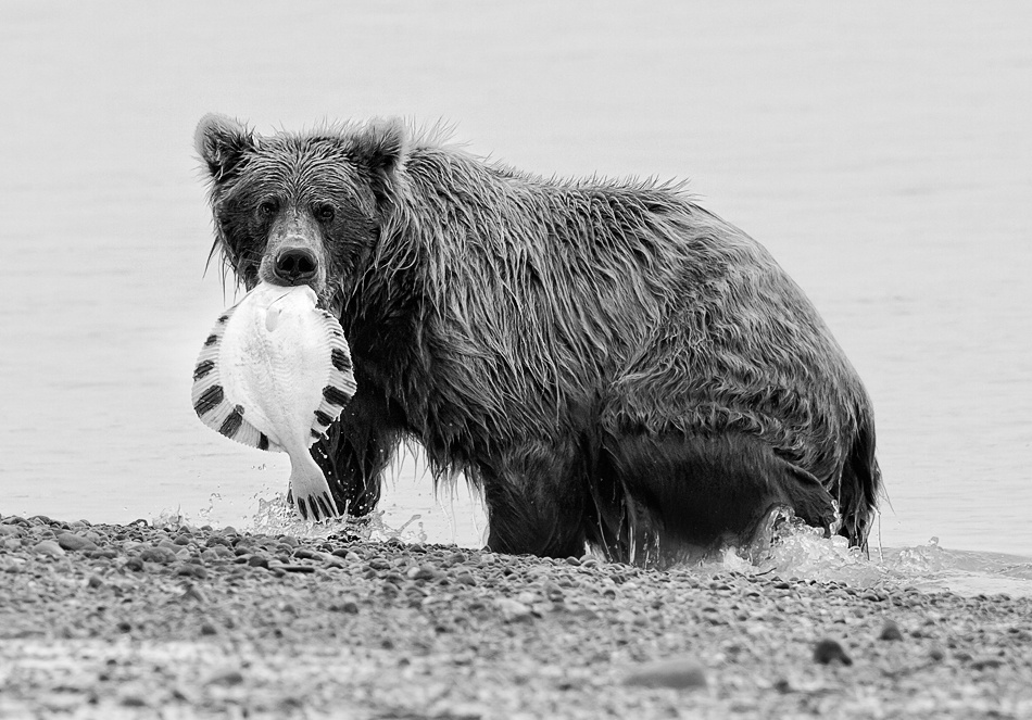 Gone Fishing! von Fabiola Forns