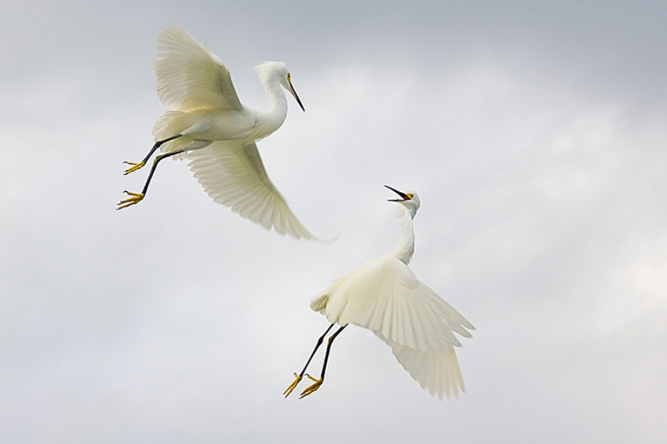 Air Ballet von Fabiola Forns