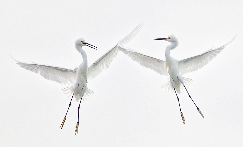 Pas De Deux von Fabiola Forns