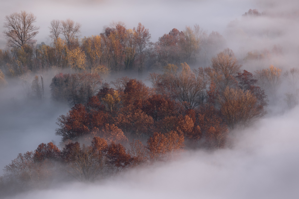 autumn detail von Fabrizio Daminelli