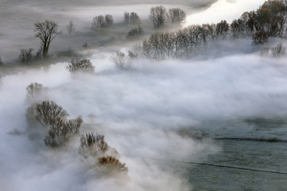 cold morning von Fabrizio Daminelli