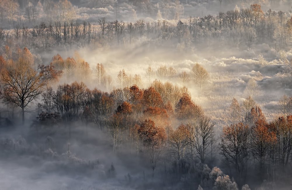 cold day von Fabrizio Daminelli