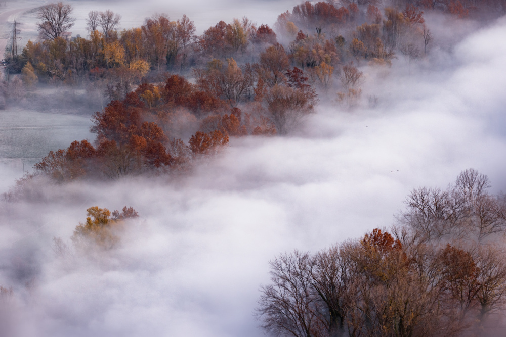 magical fog von Fabrizio Daminelli