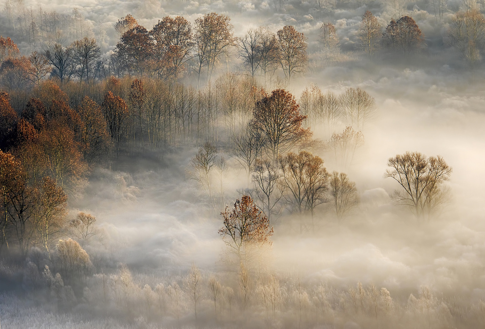 foggy landscape von Fabrizio Daminelli