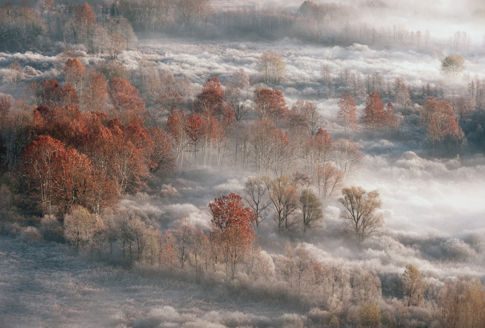 foggy time von Fabrizio Daminelli