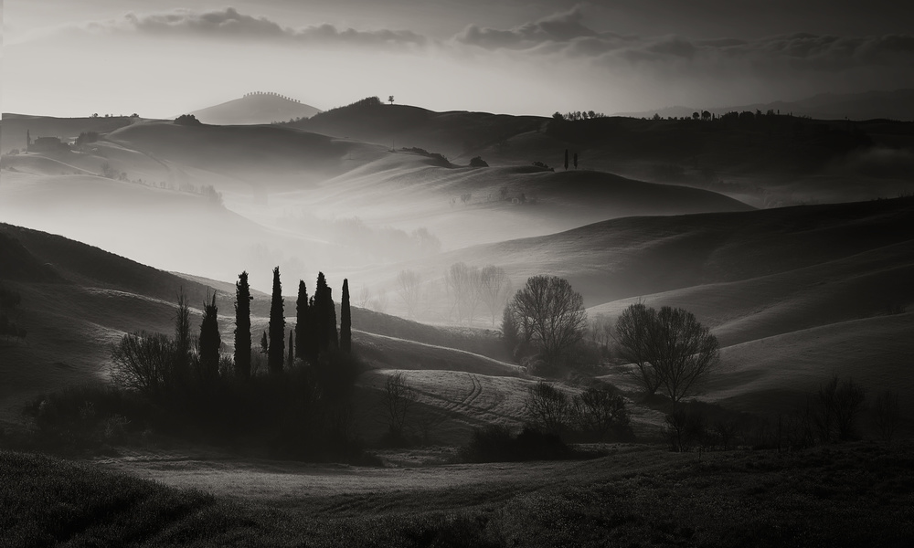 In the morning von Fabrizio Massetti