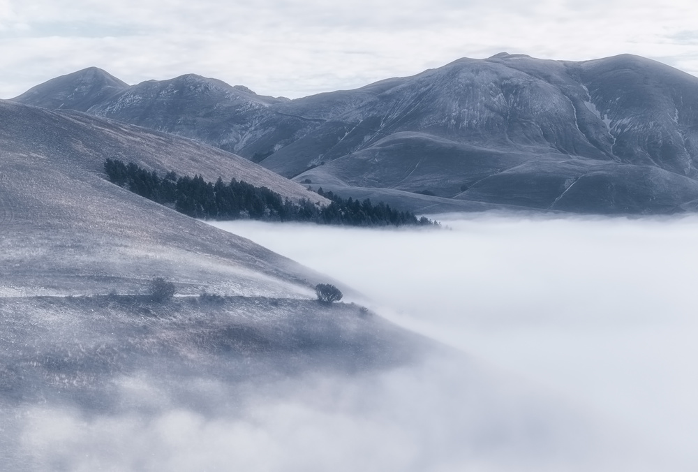 The fog von Fabrizio Massetti