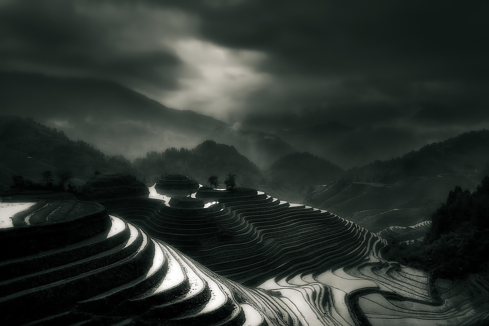 The rice fields von Fabrizio Massetti