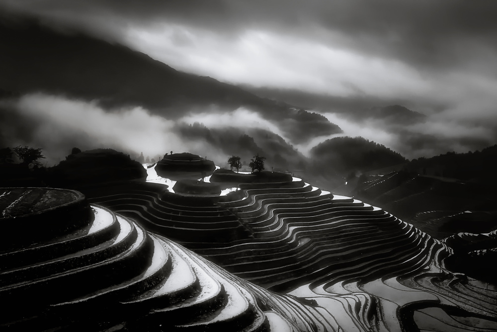 The terraced fields. von Fabrizio Massetti