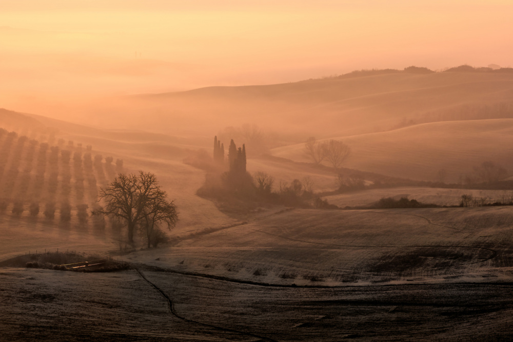 Sun morning von Fabrizio Massetti