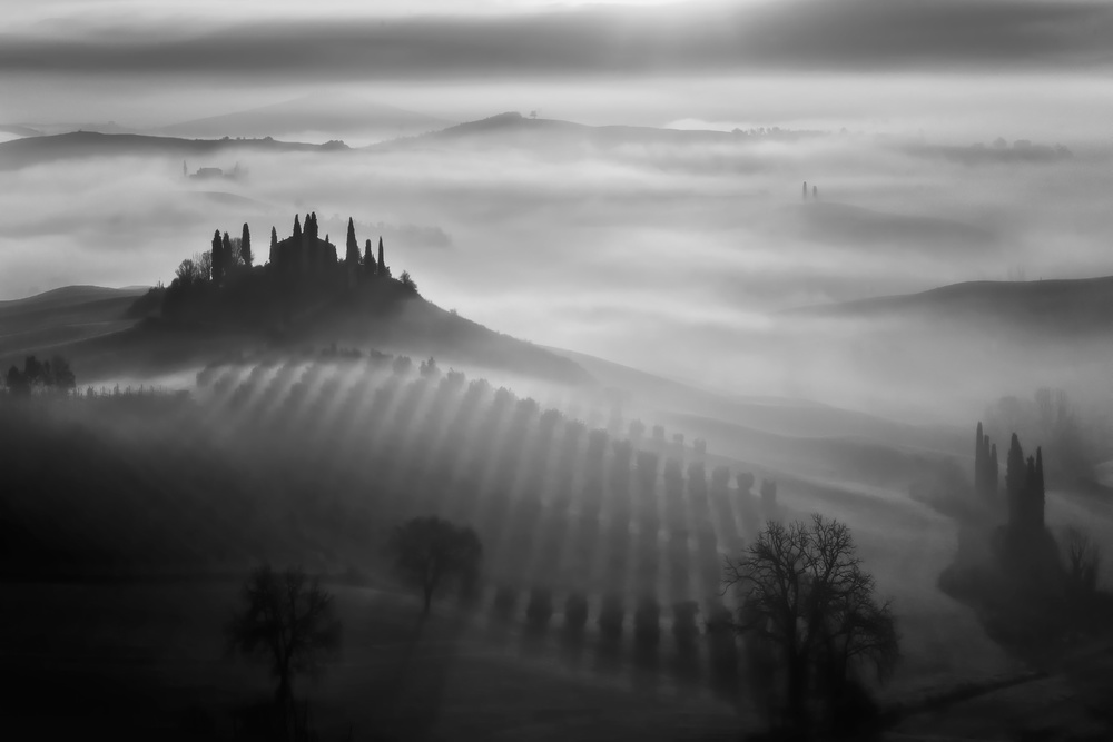 Tuscany fog von Fabrizio Massetti