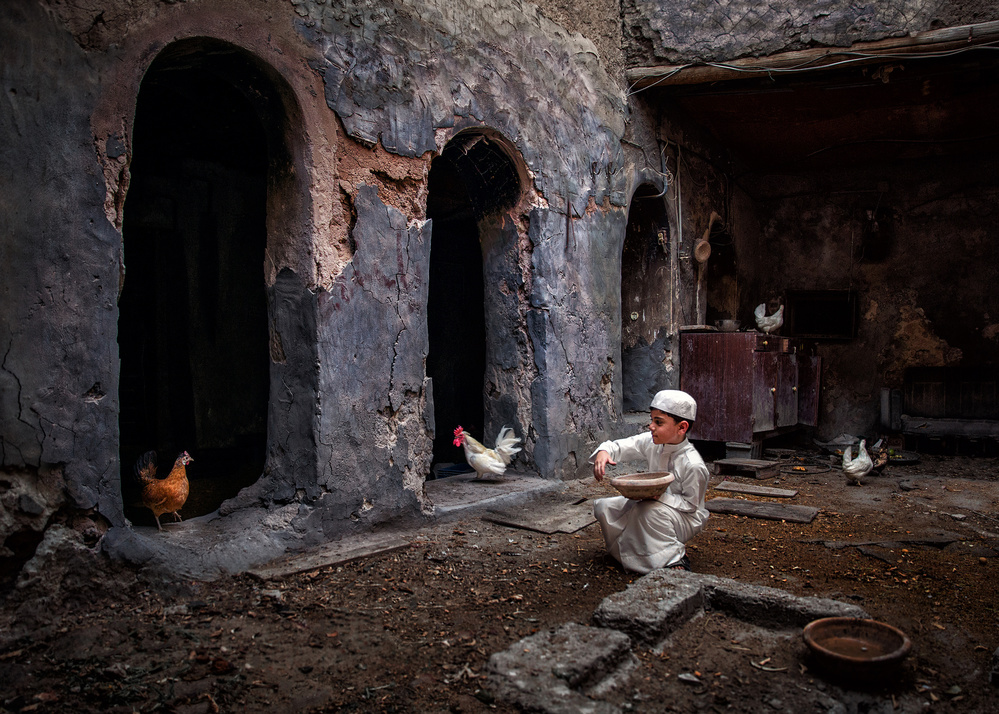 Hen feeding von Fadhel Almutaghawi