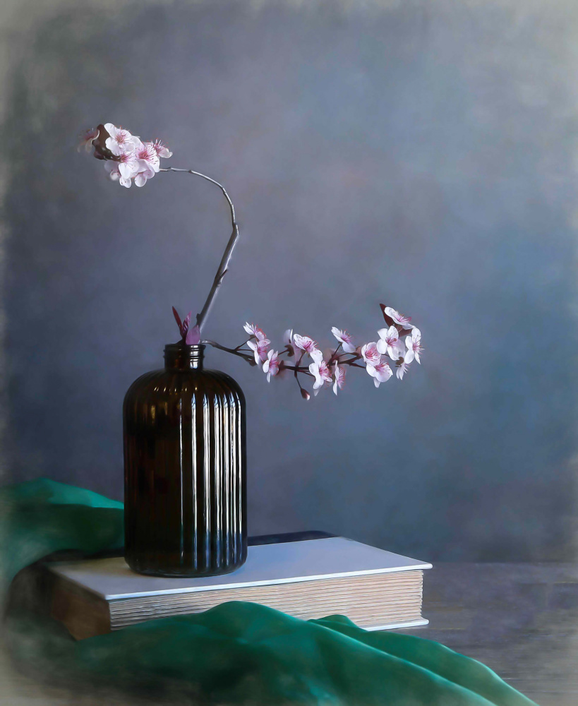 Plum Blossom von Fangping zhou