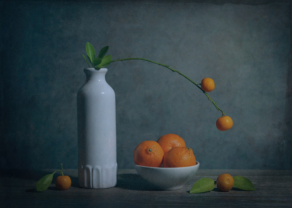 Citrus Mood von Fangping zhou